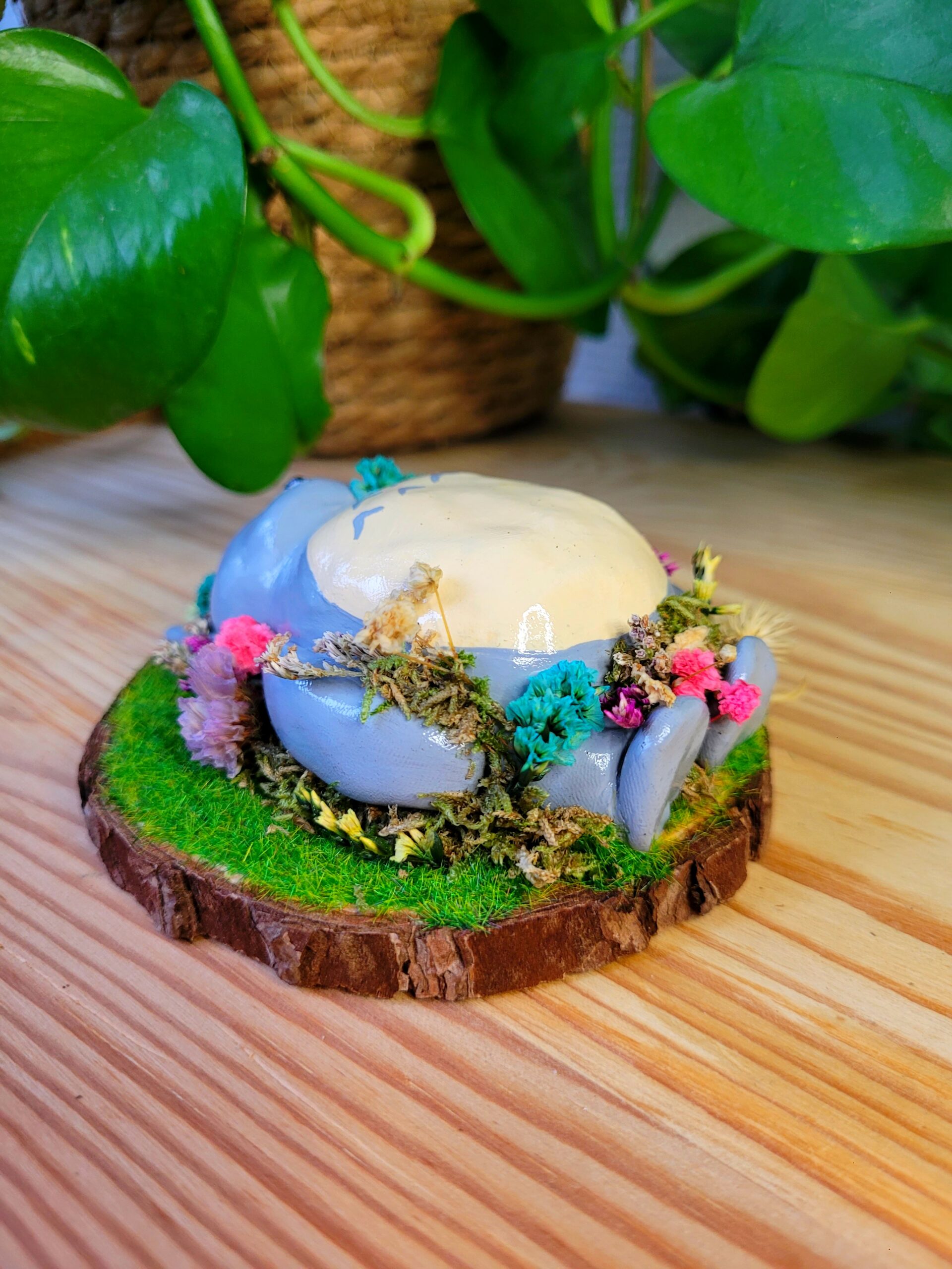 Totorododo2 Totorododo2